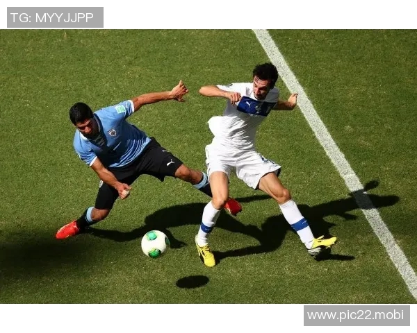 阿夫迪亚：我在波特兰找到了家的感觉，球迷们和球队接纳了我